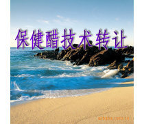 产品库技术转让 驱动创新与价值优化的战略路径